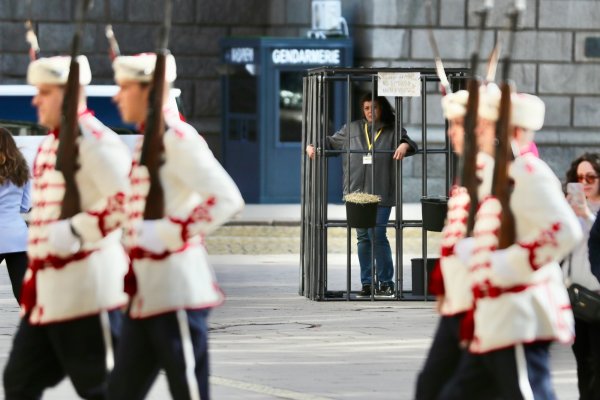 Снимка: Димитър Кьосемарлиев, Dnes.bg